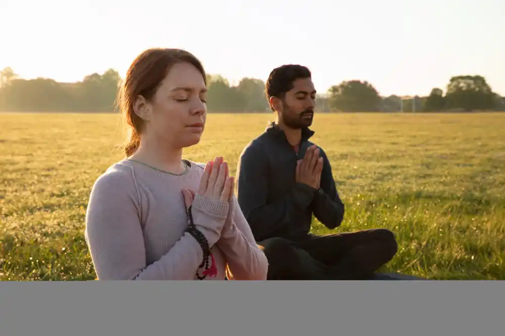 Mindfulness and nature therapy for traumatic brain injury recovery. 